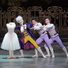 Tleubaev as Spalanzani and Artists of National Ballet of Japan